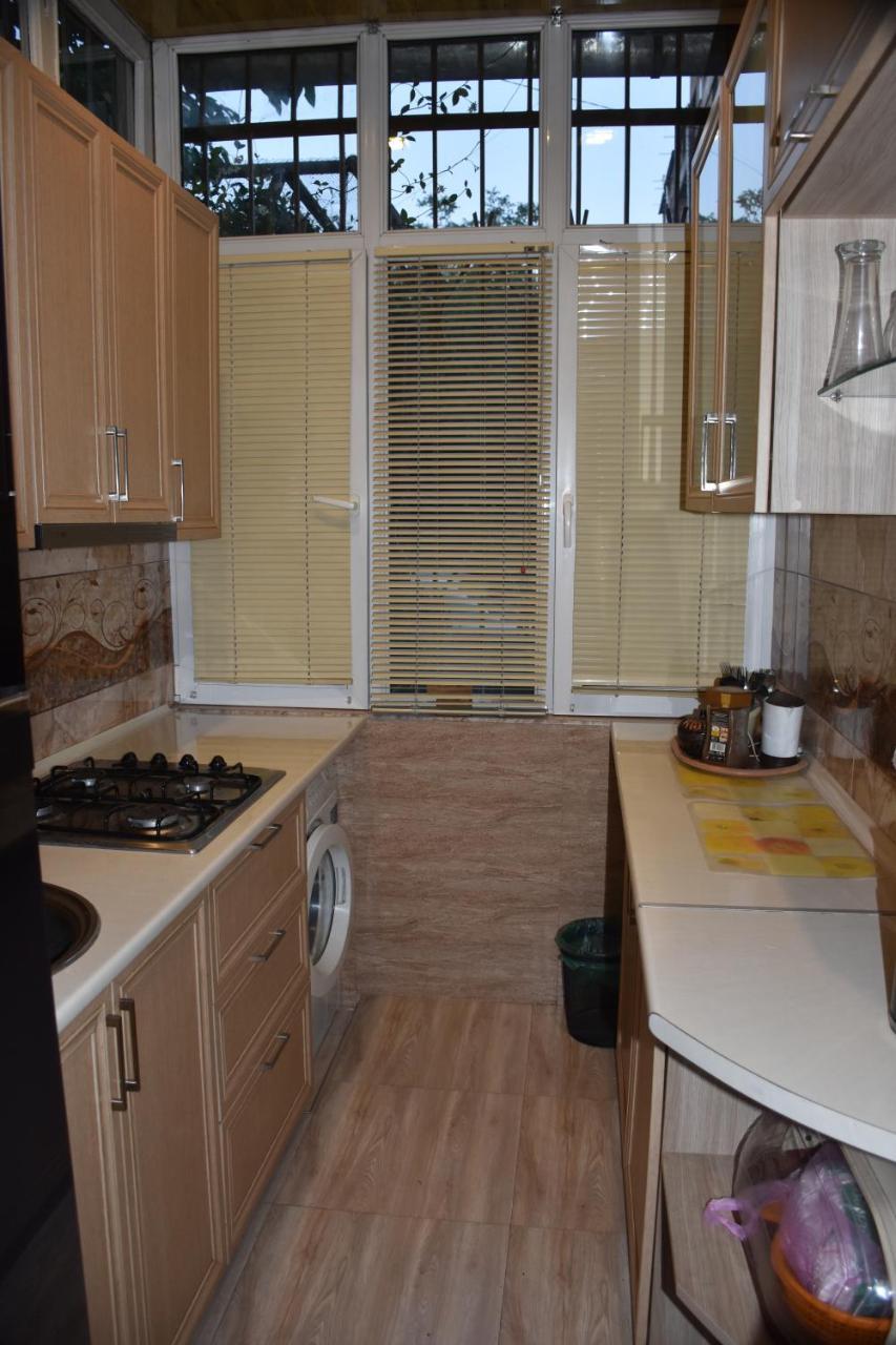 3 Room Flat In ティビリシ エクステリア 写真
